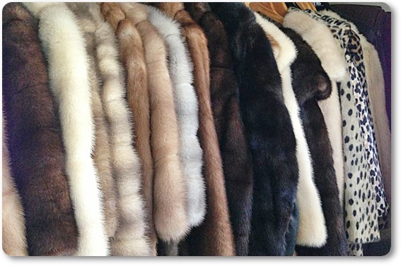 毛皮買取・京都府で高価買取・高額査定ならココがいい!